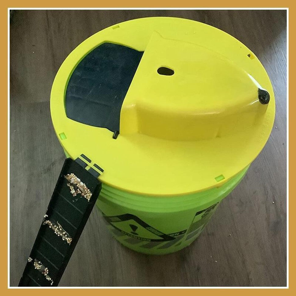 Humane Flip N' Slide Bucket Flip-Lid Mouse and Rat Trap by The Gadget Shack Shop - The Gadget Shack Shop