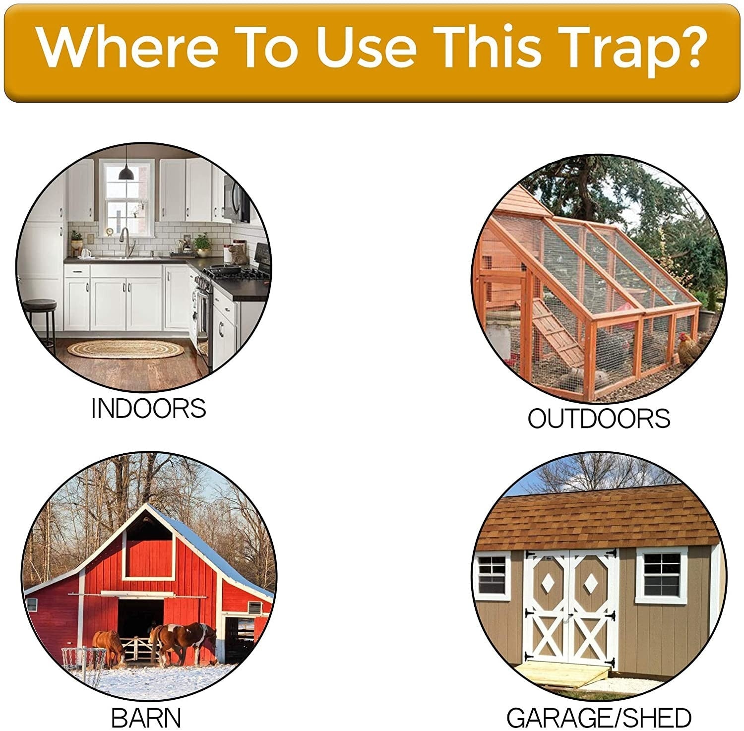 Humane Flip N' Slide Bucket Flip-Lid Mouse and Rat Trap by The Gadget Shack Shop - The Gadget Shack Shop