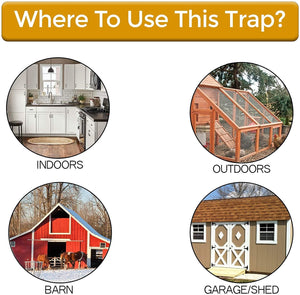 Humane Flip N' Slide Bucket Flip-Lid Mouse and Rat Trap by The Gadget Shack Shop - The Gadget Shack Shop